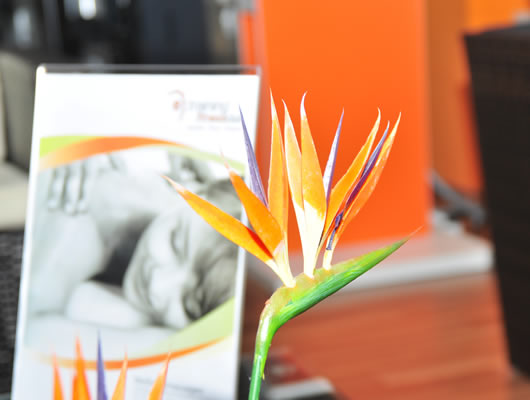 e-training fitnessclub Physio & Wellness
